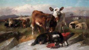 The Herdsman's Dog