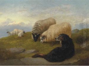 Sheepdogs Guarding The Flock by George William Horlor
