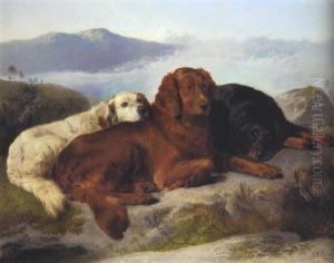 Setters In A Highland Landscape