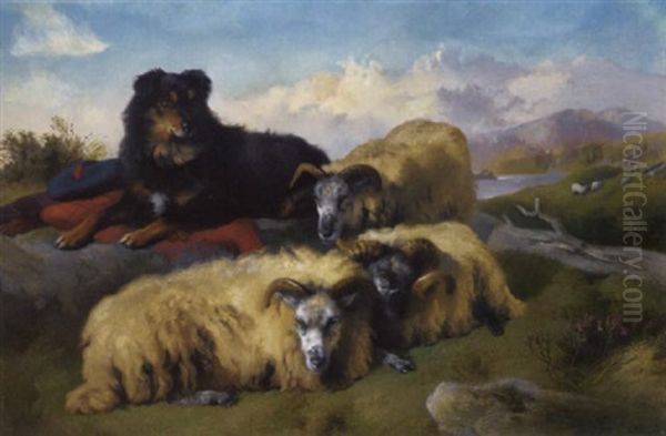 Guarding The Sheep - view 1