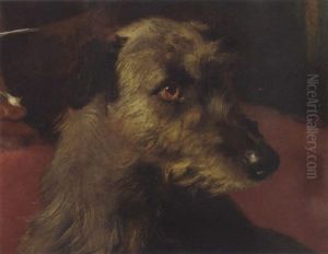 "bran", Property Of The Author
