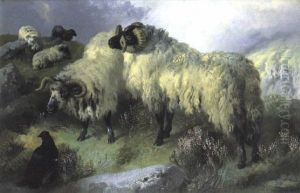 Highland Scene With Sheep And A Blackcock