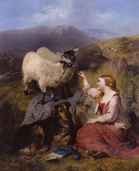 The Shepherd's Pet - view 1
