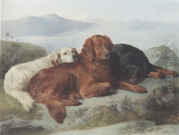 A Golden Retreiver, An Irish Setter And A Gordon Setter In A Mountainous Landscape - view 1