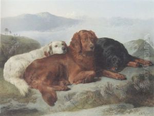 A Golden Retreiver, An Irish Setter And A Gordon Setter In A Mountainous Landscape by George William Horlor