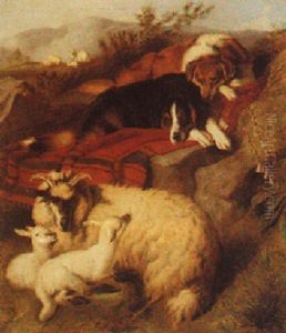 Guarding The Flock Guarding The Flock