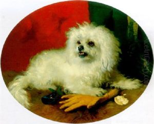 A Maltese Terrier
