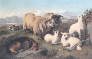 Sheep In The Highlands by George William Horlor