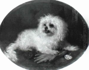 Maltese Terrier by George William Horlor