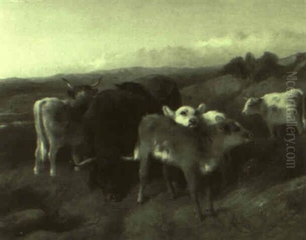 Cows In An Open Field - view 1