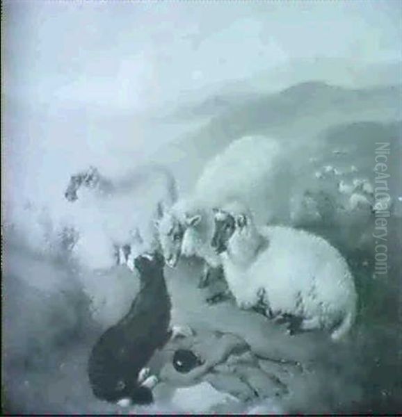 Drei Schafe Und Ein Hirtenhund In Hugeliger Landschaft - view 1