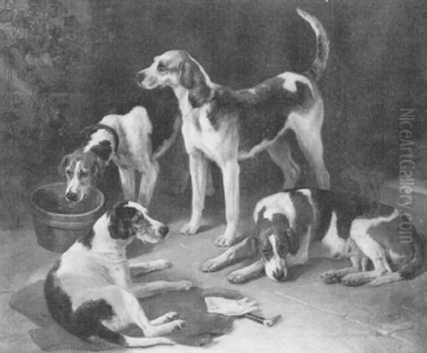 Resting Foxhounds - view 1