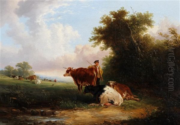 Cattle Evening - view 1