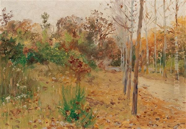Avenue In Autumn - view 1