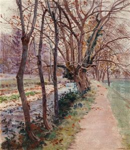 Avenue Of Trees By A Stream