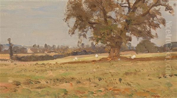 Weide Mit Grosem Baum - view 1