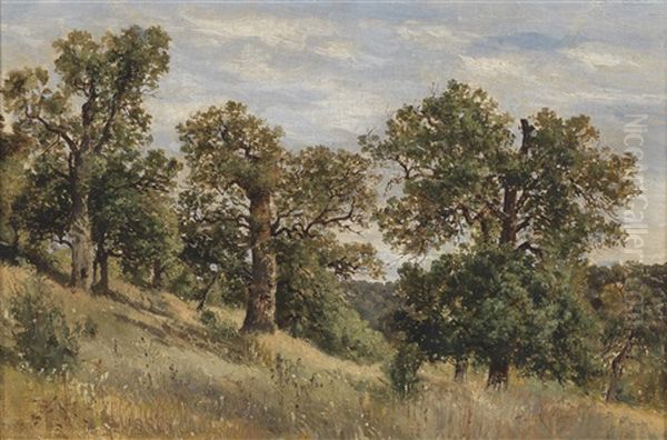 Berghang Mit Baum - view 1