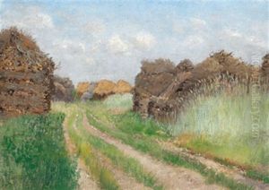 Feldweg Mit Strohtristen