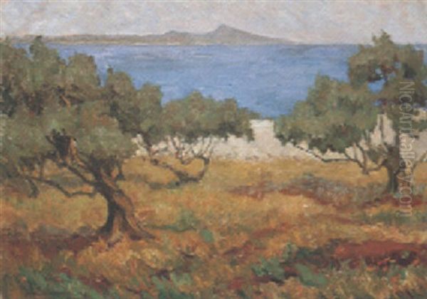 Olivenbaume Am Meer - view 1