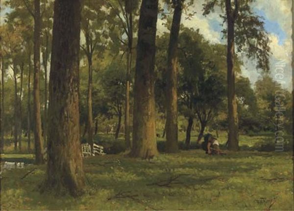 Gathering Wood - view 1