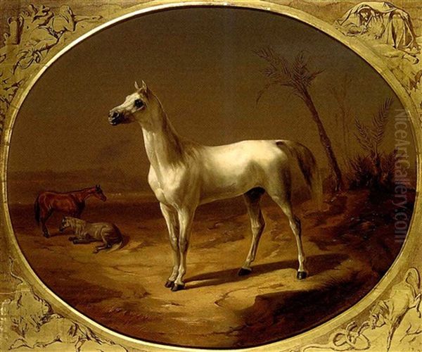 A Grey Arabian Horse - view 1