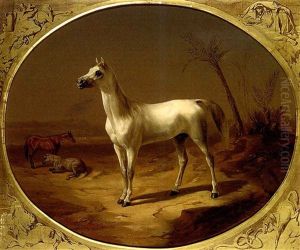 A Grey Arabian Horse by Theodor Horschelt