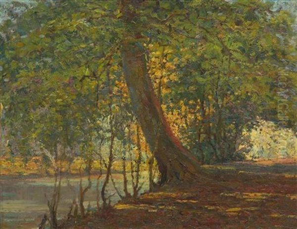 Lakeside Tree - view 1