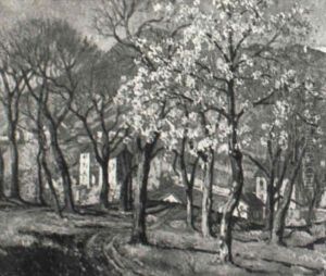 Spring Landscape