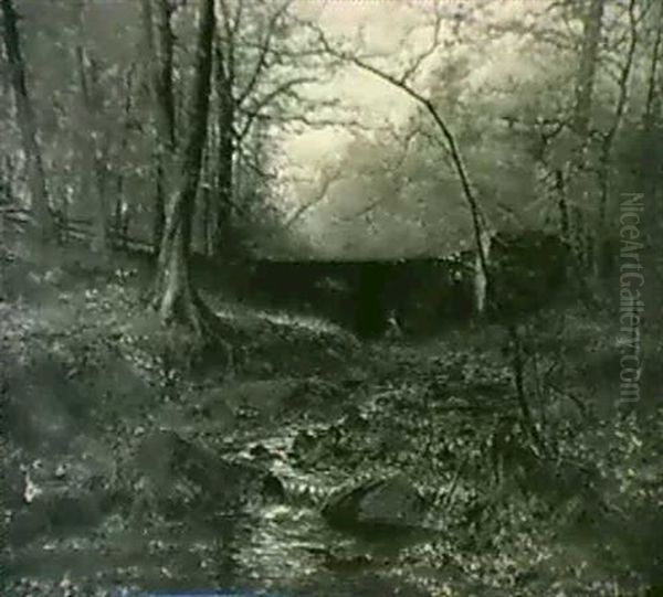 Autumn Scene With Stream - view 1