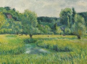L'epte Dans La Prairie