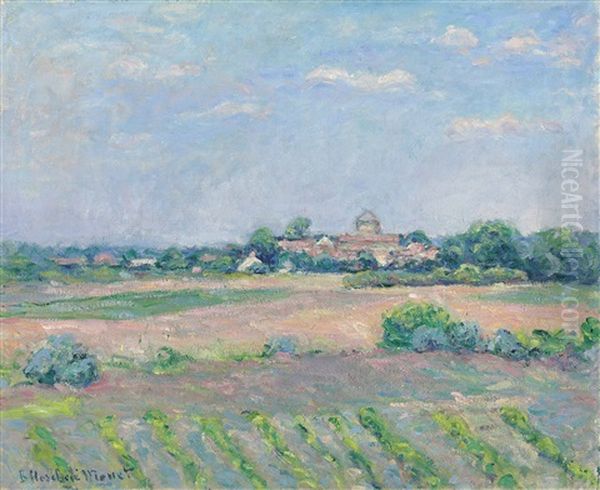 Prairie Pres De Saint-vincent-sur-jard - view 1