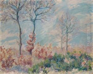 Le Bois De Falaise Le Bois De Falaise