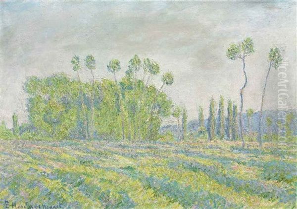 Giverny, Peupliers Des Ajoux - view 1
