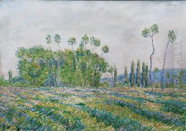 Poplars In Ajoux - view 1