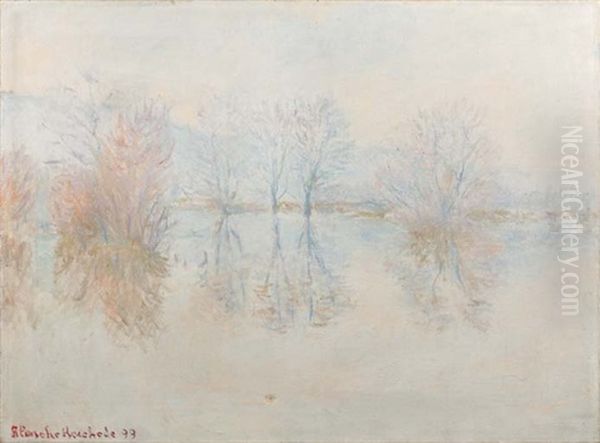 Reflets D'arbres Sur La Seine En Hiver - view 1