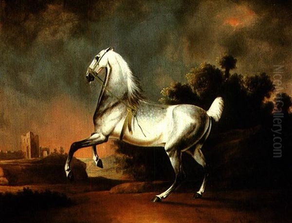 A Grey Horse In A Stormy Landscape - view 1