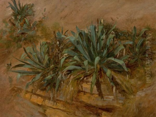 Study Of Plants On A Rocky Wall - view 1