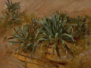 Study Of Plants On A Rocky Wall