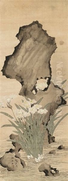 Narcissus And Rock - view 1