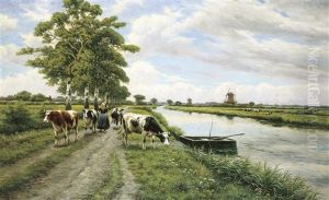 Vachere Le Long Du Fleuve