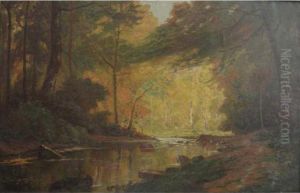 :sous-bois