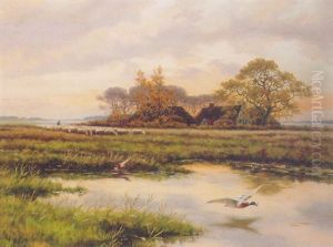 Marshland With Sheep And A Farm In A Distance