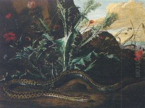 A Forest Floor Still Life With Thistles And An Adder by Niccolino Van Houbraken