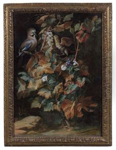 Geai Et Etourneau Sur Un Pied De Vigne Entoure De Liseron by Nicola van Houbraken