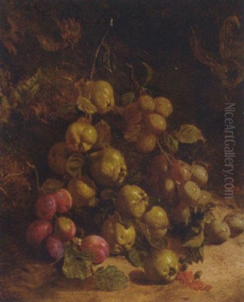 Pears And Plums On A Mossy Bank - view 1