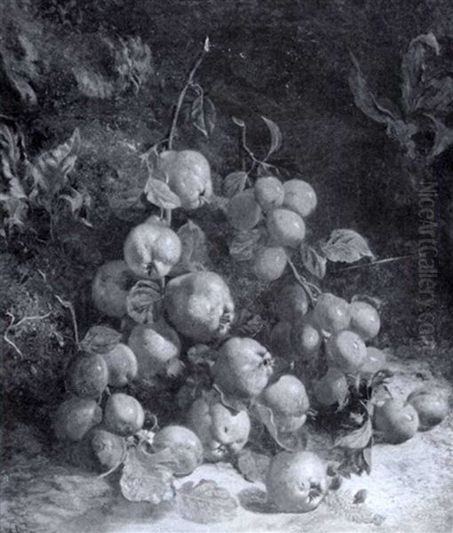 A Still Life With Branches Of Fruit On A Mossy Bank - view 1
