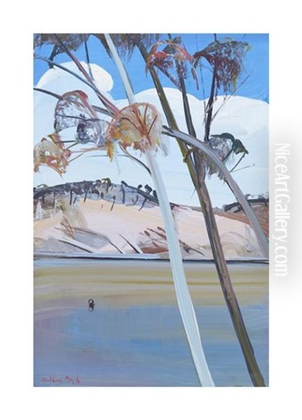 Shoalhaven Riverside And Swan, C.1984 - view 1