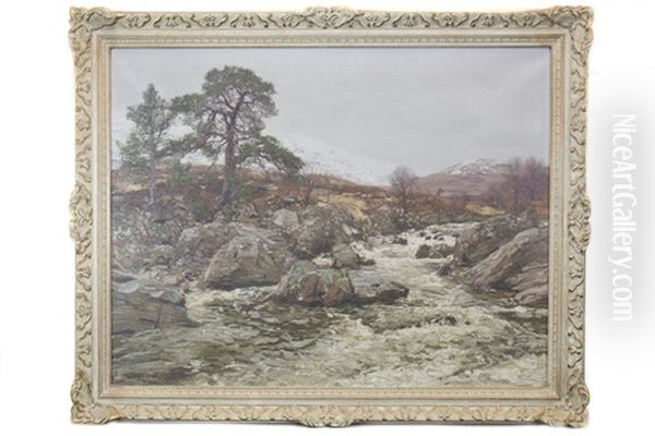 Above Loch Fyne - view 1