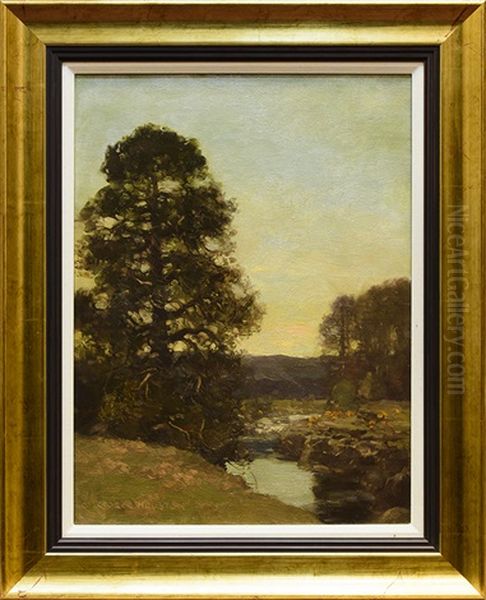 Evening Glengarnock - view 1