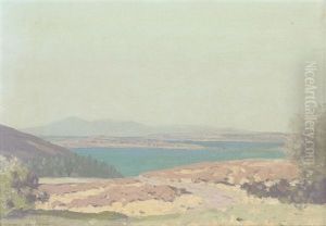 The Clyde From Above Fairlie